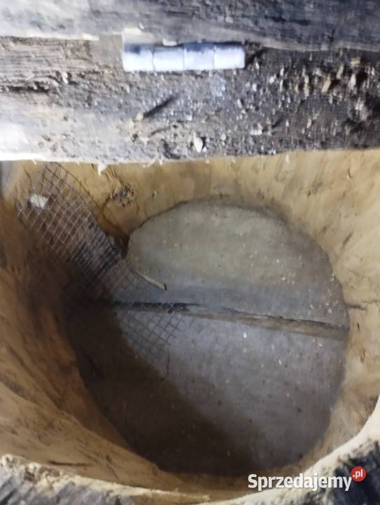 Duża budka lęgowa Ptaki podkarpackie