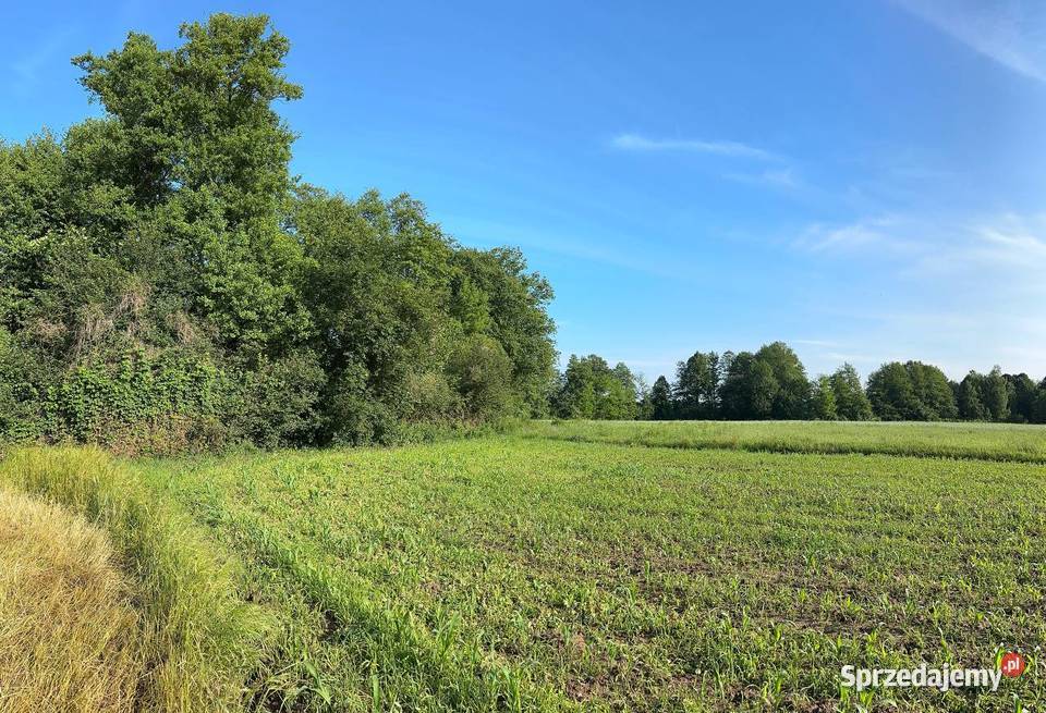 Działka z możliwością zabudowy 21zł/m2 Rudawica