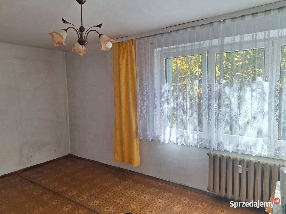 Kawalerka 276 m2 1 piętro Zawiercie Leśna 3 piętra i więcej