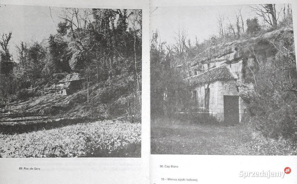 Wenus epoki lodowej Rudolf Drssler