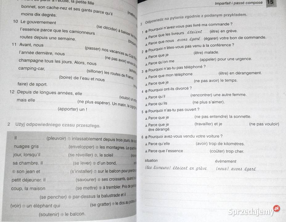 Ćwiczenia języka francuskiego Michelle Cahuzac miękka Chełm