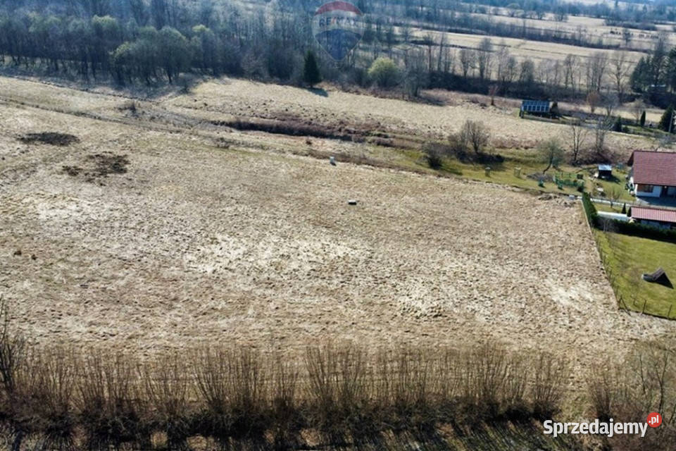Malownicza działka budowlana w Koconiu 13 arów budowlana śląskie Kocoń
