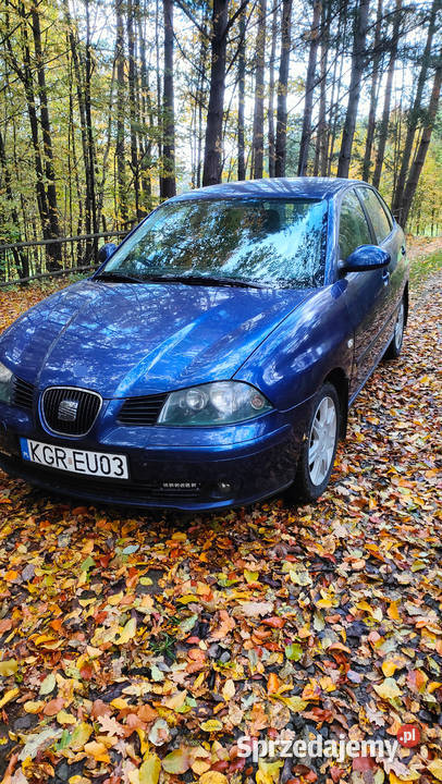 Seat ibiza III 6L 19 TDI Ibiza Szalowa
