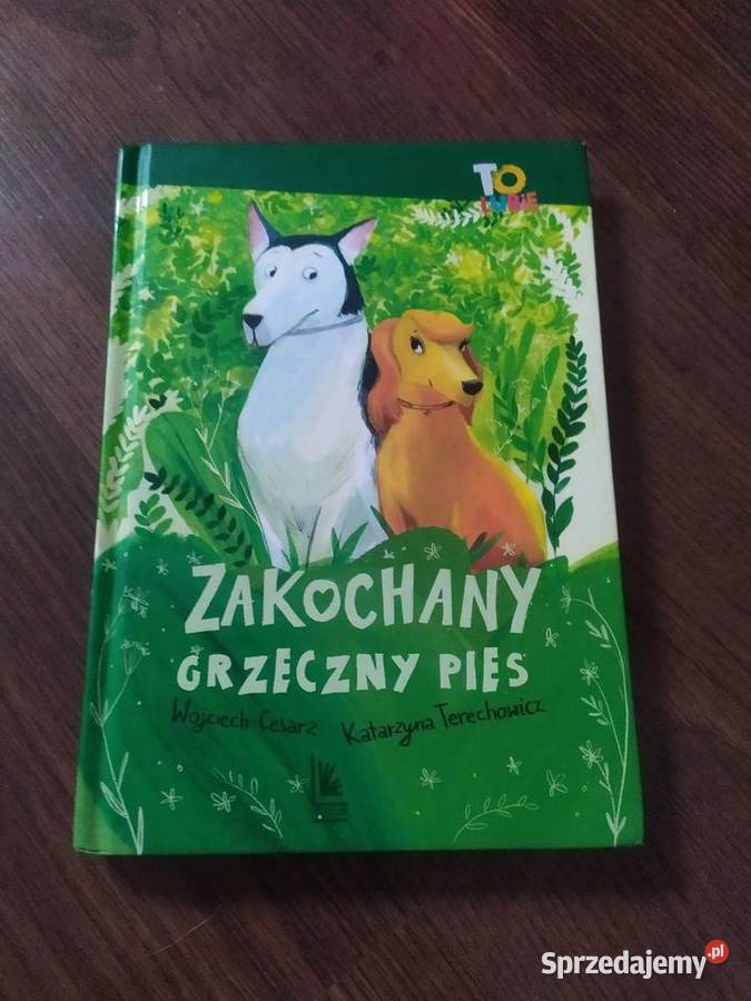 Książka Zakochany grzeczny pies Lublin