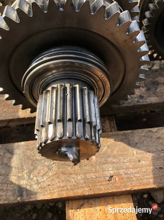 Koła zębate skrzyni zestaw Massey Ferguson 390 Kłobuck