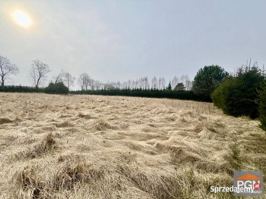 Działka Gostyniec 3007m2 66m Sprzedaż