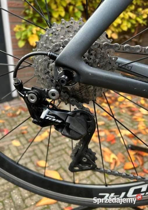 Giant propel advanced Szosowe pomorskie Bytów