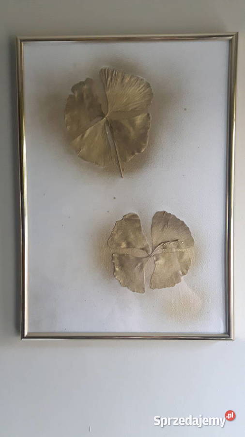 obraz złoty koniczynki z liści miłorzębu na wielkopolskie sprzedam