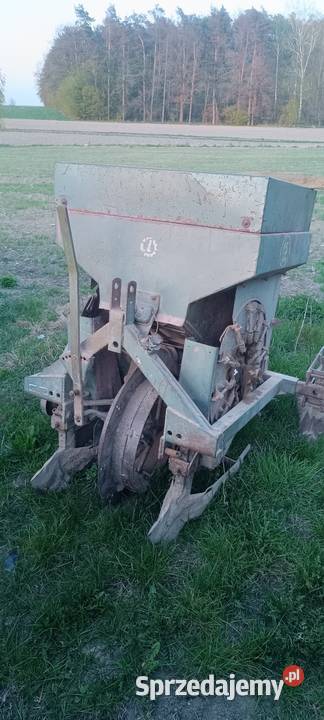 Sadzarka czeska łódzkie Zacywilki