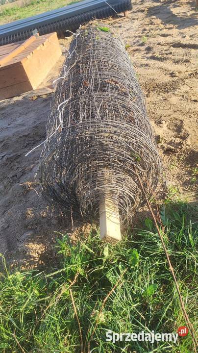 Siatka leśna 150 x 85m Siekierki Wielkie