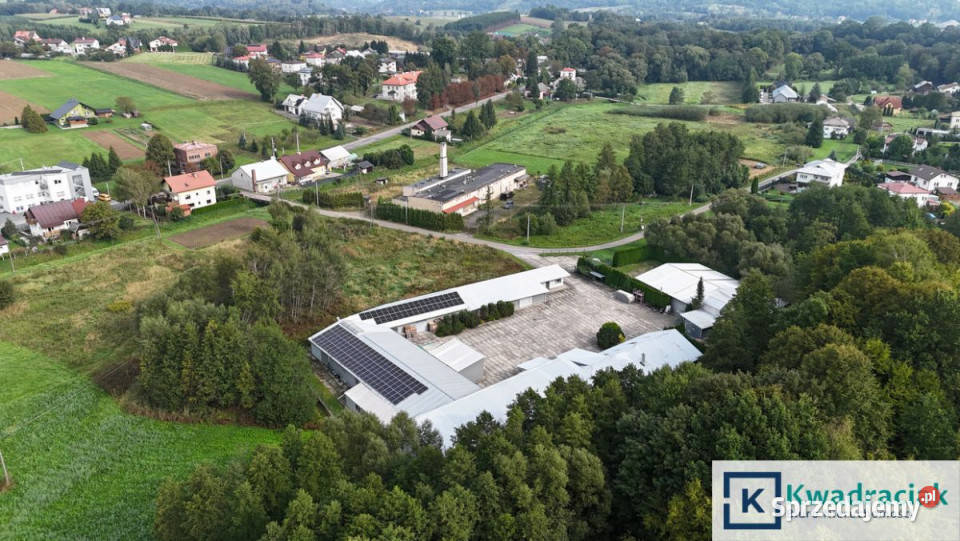 Lokal Brzozów 2152m2 dojazd asfaltowy