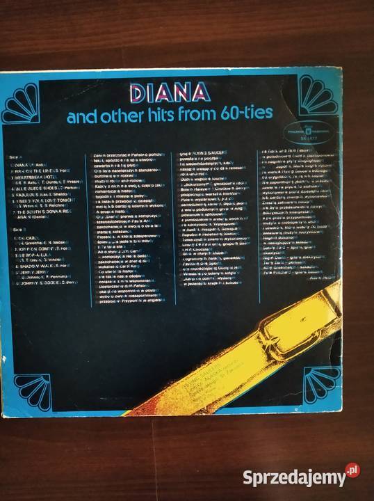 Płyta winylowa Diana and others hits sprzedam