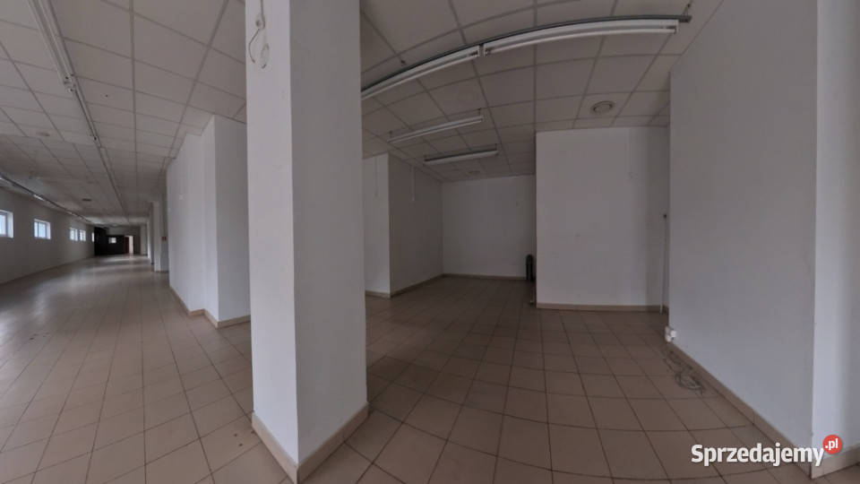 Na wynajem lokal handlowo usługowy 560 m2 560m2 Piotrków Trybunalski sprzedam