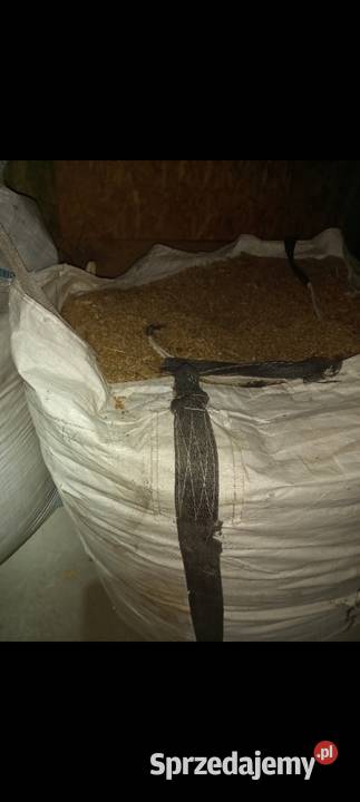 Sprzedam Pszenzyto Zboża Węgrów