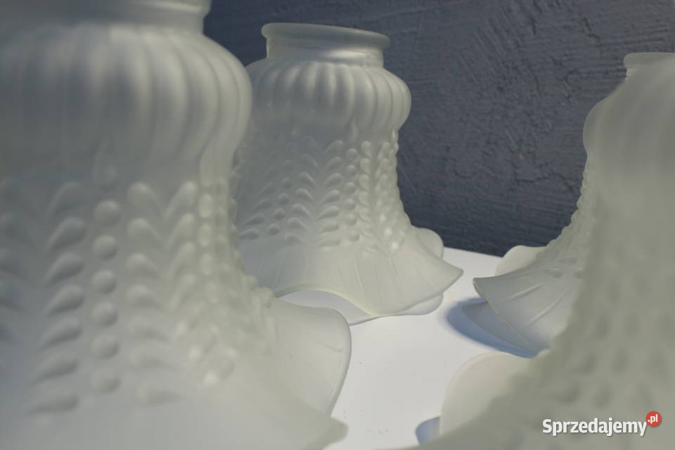 4 stary biały klosz do lampy tulipan Wrocław sprzedam