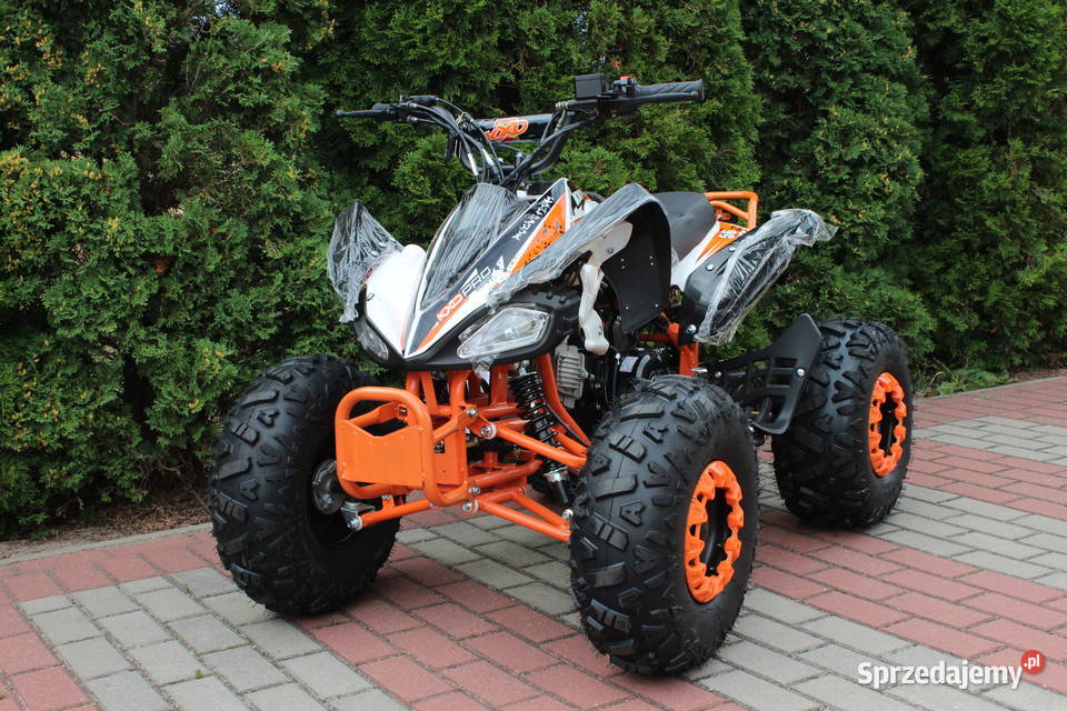 Quad raptor 125 średni 31 dzieci młodzieży