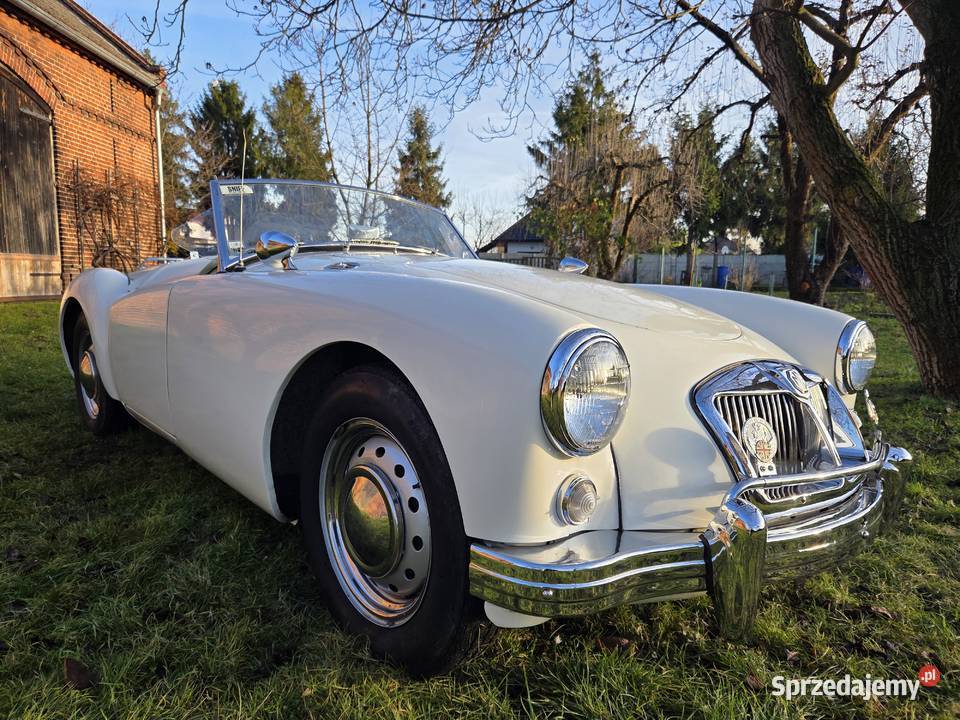 MG MGA 1956 nieuszkodzony Jelcz-Laskowice