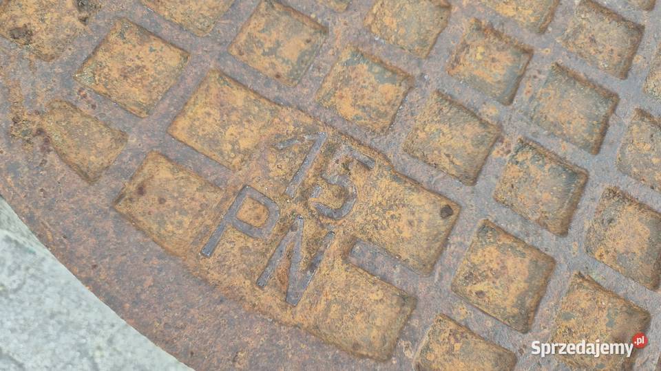 Właz żeliwny Hryniewicze