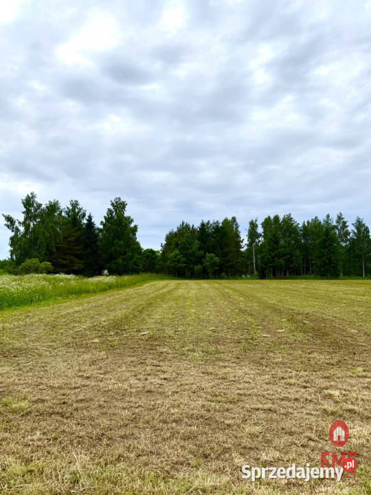 sprzedaży gruntu 3128m2 Błaskowizna 3128m2 Nieruchomości