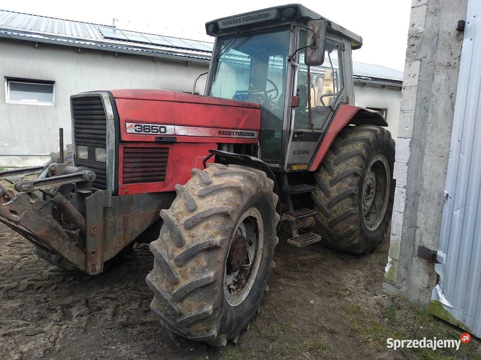Ferguson MF 3650 sprawny TUZ 150 koni sprzedam