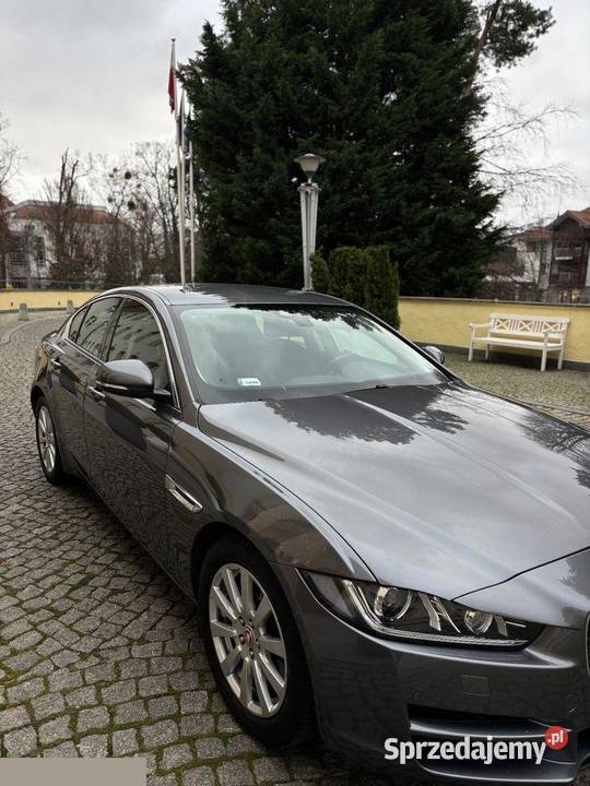 Jaguar XE 20 T Pure 200 2015r Bezwypadkowy 200KM Sopot