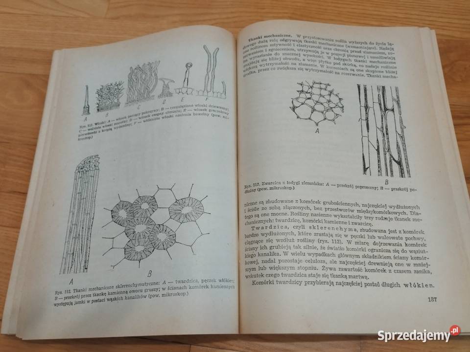 S TOŁPA BOTANIKA zachodniopomorskie Szczecin
