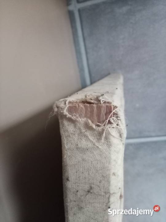Stary obraz na płótnie Świdnica sprzedam