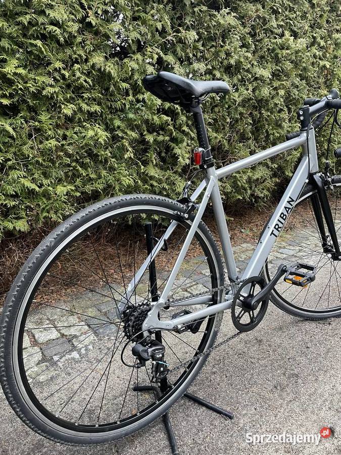 Roczny TRIBAN RC 100sprzedam Poznań