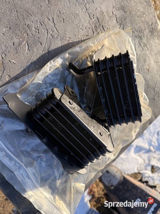 Oryginalne Chłodnice Oleju BMW R1150 R Prawa i Pilzno