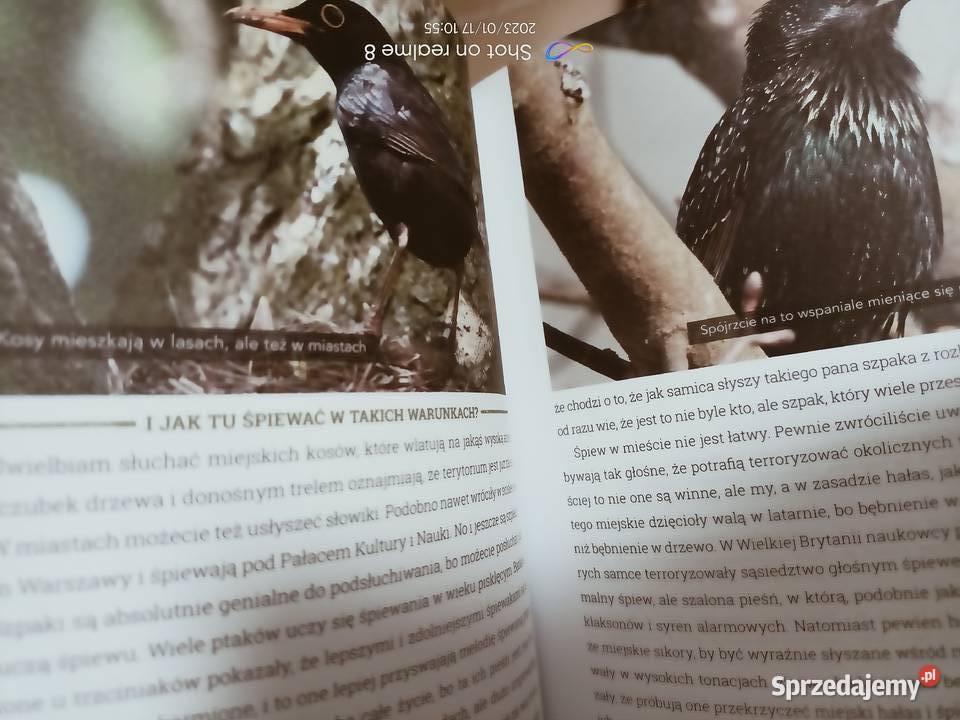 Wajrak książki Wielka księga prawdziwych Warszawa