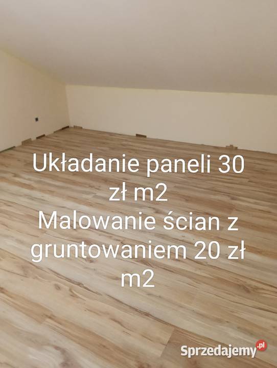 Gładzie 25 m2 malowanie ścian układanie paneli Nasielsk