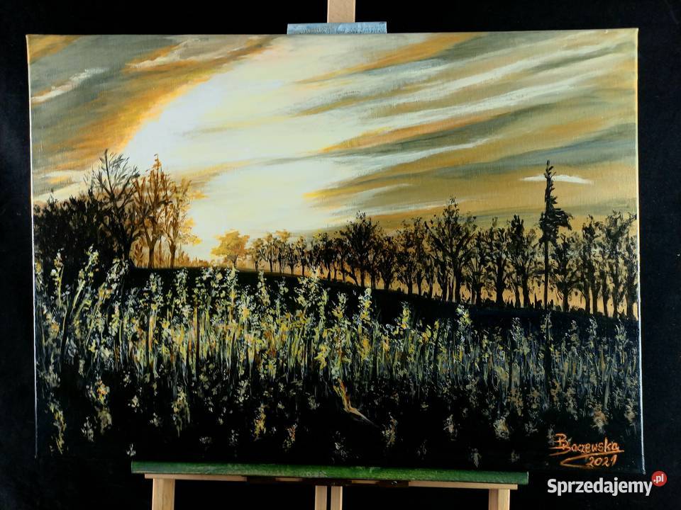 Obraz akryl ręcznie malowany Olsztyn