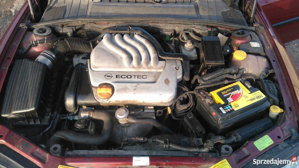 Opel Vectra 16 bengaz Zadbany 1600cm3