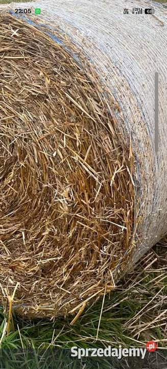 Sprzedam owies pszenicę siano słoma kostka duże Zakliczyn