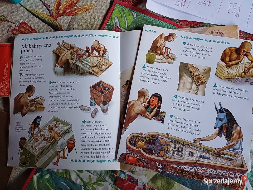 O mumiachPhilip Steele Moja najlepsza książka Książki dla dzieci małopolskie Kraków