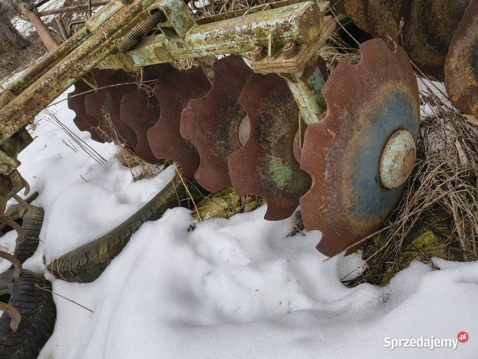 Brona talerzowa małopolskie