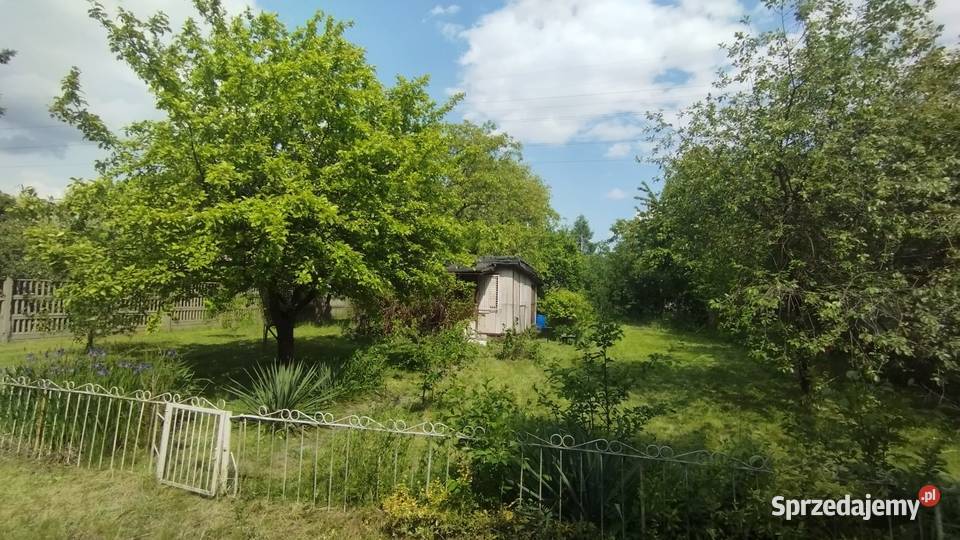 Działka ROD Łódź Dąbrowa