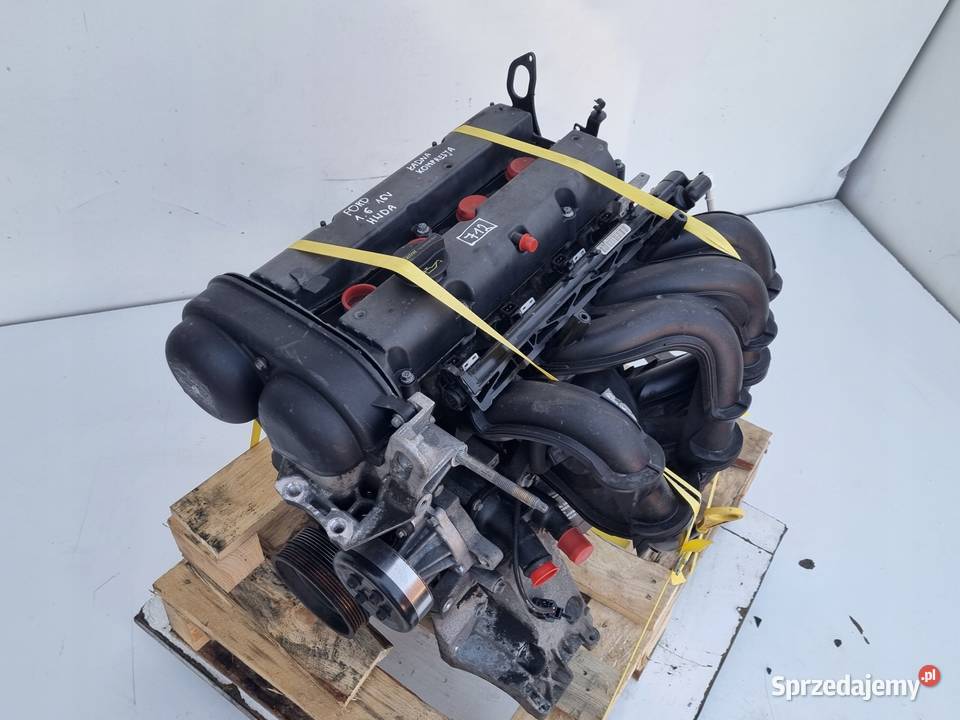 SILNIK KOMPLET Ford Focus II MK2 16 16V 100 SHDA Chełm sprzedam