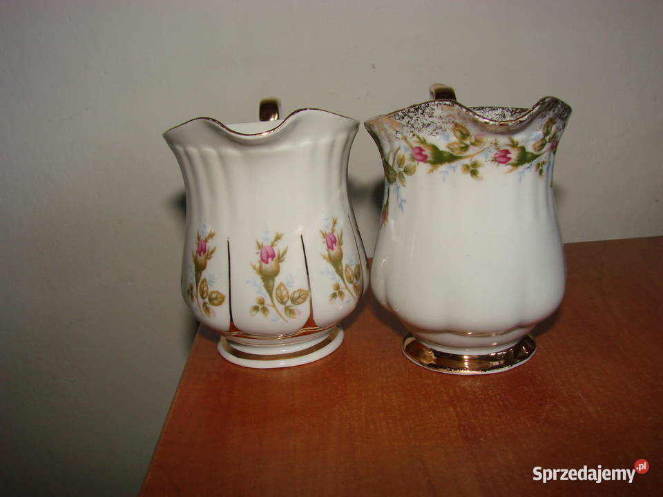 Chodzież mlecznik Iwona