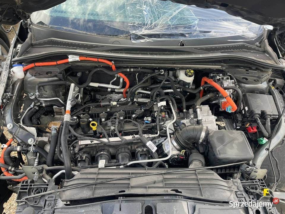 FORD Kuga 25 duratec 190 FHEV GG208 hybryda Katowice