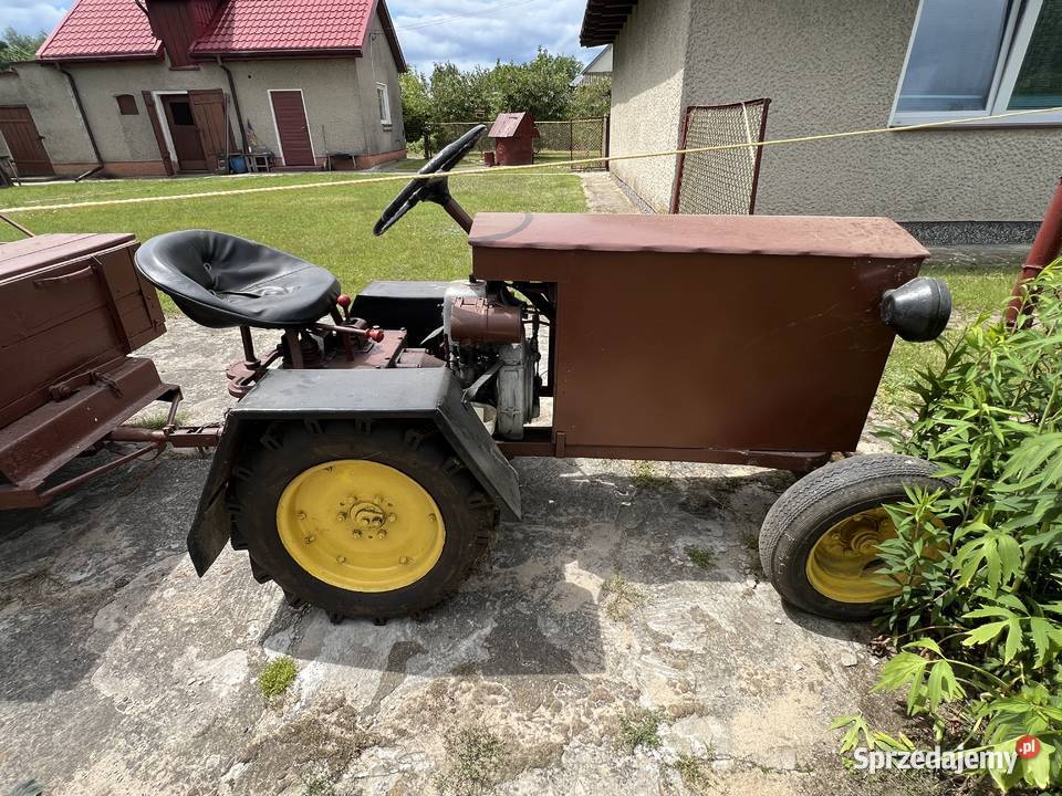 CIAGNICZEK DZIK 21 nieuszkodzony Chynów