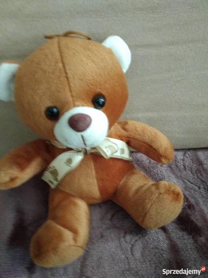 miś pluszak maskotka Poznań