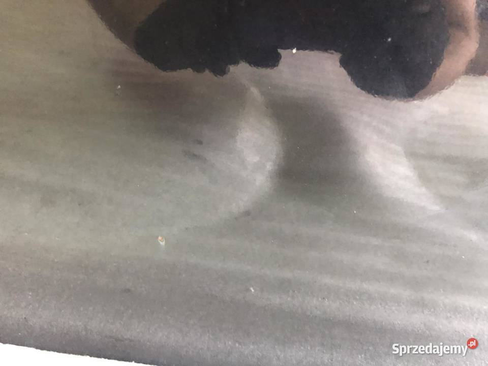 DRZWI KOMPLETNE PRAWY PRZÓD BMW E65 LIFT 4759