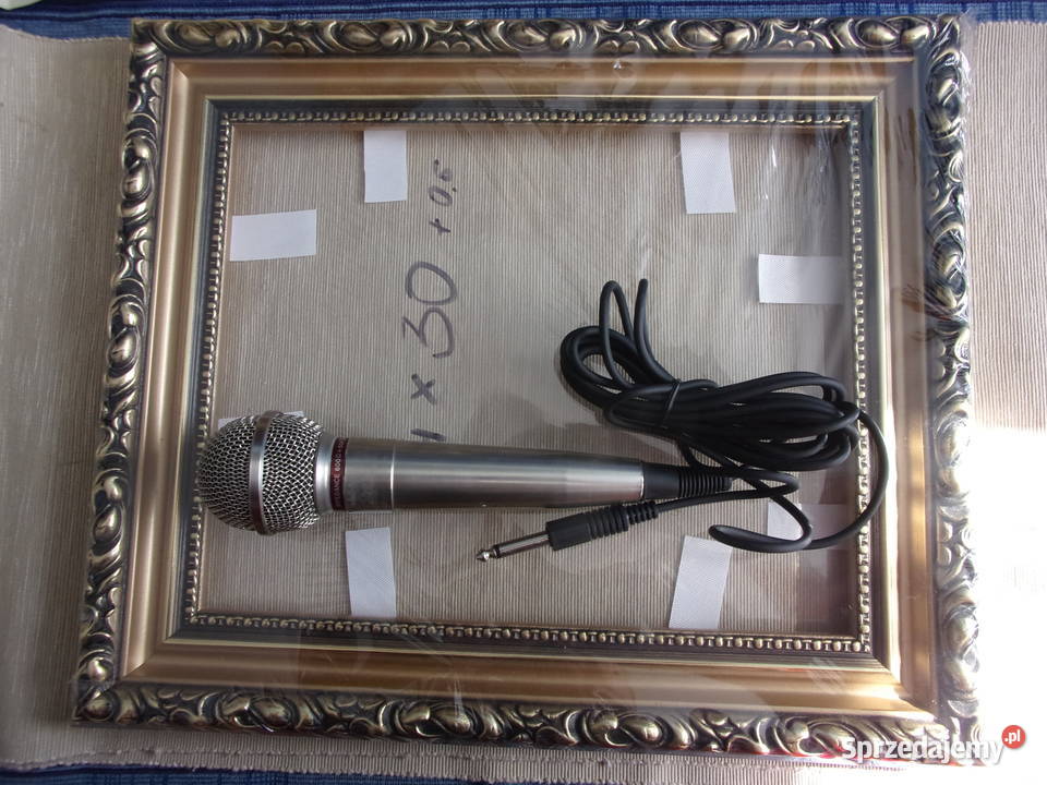 Dynamic Microphone DM 360 super mikrofon Vintic Warszawa sprzedam