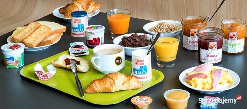 Paryz 4 dni w Pigułce samolot z Wrocławia Hotel Pozostałe Wrocław