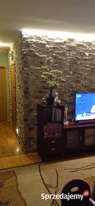 Kamienie dekoracyjne gładzie malowanie