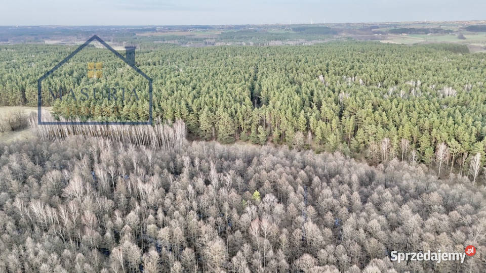 Działka w lesie polana sprzedam