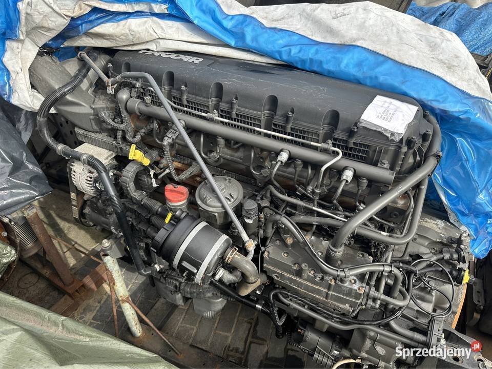 Silnik daf Xf 106 euro6 480 lift 2019 przebieg Silniki kompletne Siedlec sprzedam
