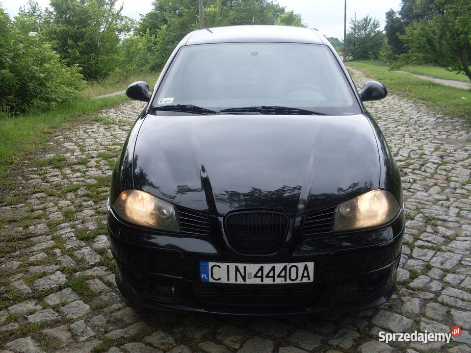 Seat ibiza 19 TDI chip tuning Czarna Bestia kujawsko-pomorskie Strzelno