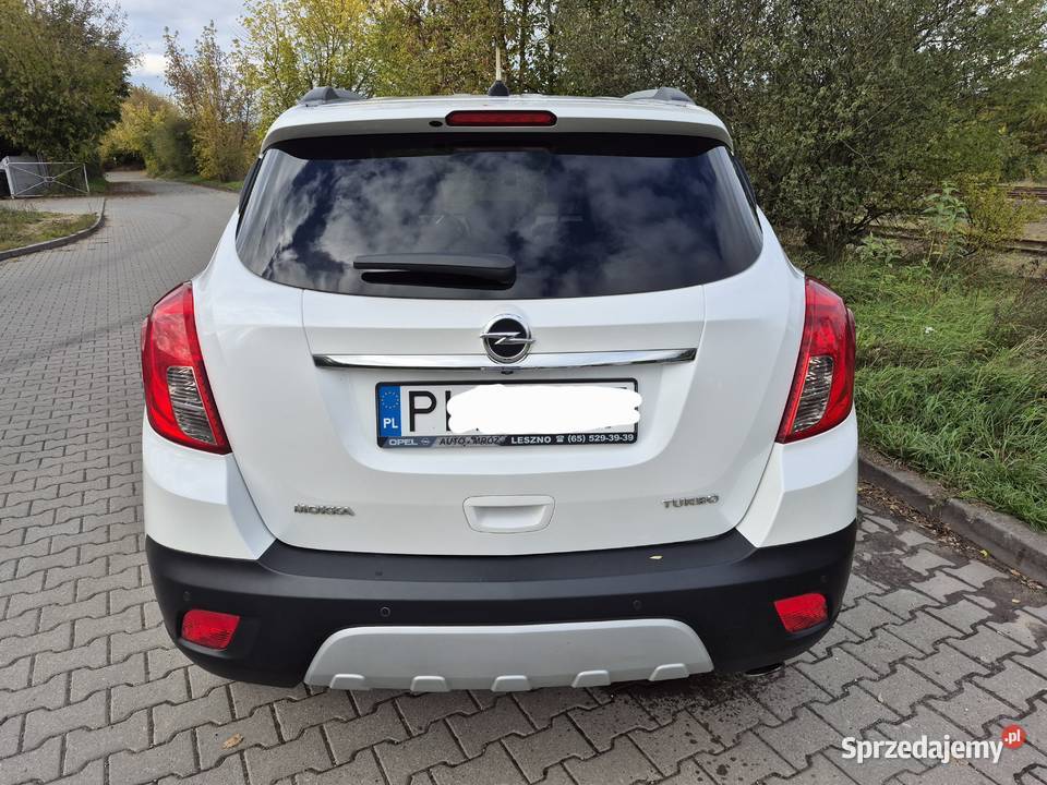 Salon Polska Mokka Cosmo 1400T 140 benzyna wielkopolskie Poznań